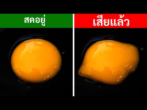 วีดีโอ: 10 เคล็ดลับสำหรับโปรที่จะช่วยให้คุณสามารถอยู่รอดได้ในวัยยี่สิบ