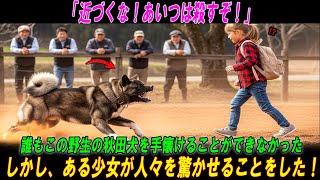 誰もこの野生の秋田犬を手懐けることができなかった — しかし、ある少女が人々を驚かせることをした！【奇跡の実話】 #海外の感動話  #秋田犬 #海外の反応  #海外の話