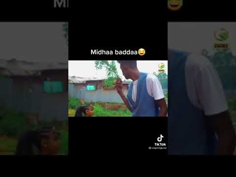 Midhaan Baddaa Comedy Afaan Oromoo Nama Kolfisiisu
