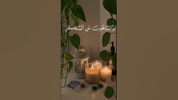 التائبون العابدون الحامدون السائحون الراكعون الساجدون 🌱_ سورة التوبة