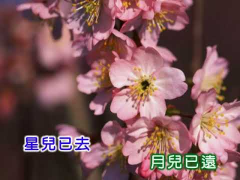 青山 ~ 酒醒夢已殘