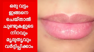 Lighten Dark Lips Naturally at Home | Lip care Tips | Chundukal niram vekkan | Beautiful Remed | BR