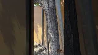 Modern Wpc Fence Durable Stylish Outdoor Upgrade For Your Home