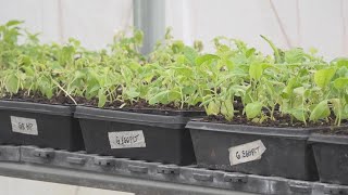 USDA ends the Farm Access Program