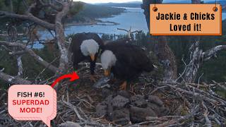 6 FISH IN ONE DAY?! 🐟 Shadow's INCREDIBLE Delivery Streak — Sandy & Luna LOVE It! | Big Bear Eagles