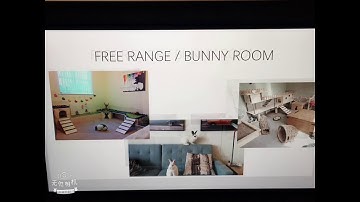 Good vs Bad Rabbit Cages