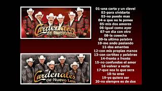 Los Cardenales De Nuevo Leon [20 ROLITAS]