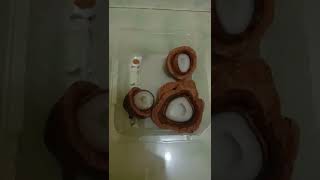 Download Lagu ZURIAT FRUIT | BUAH ZURIAT MP3