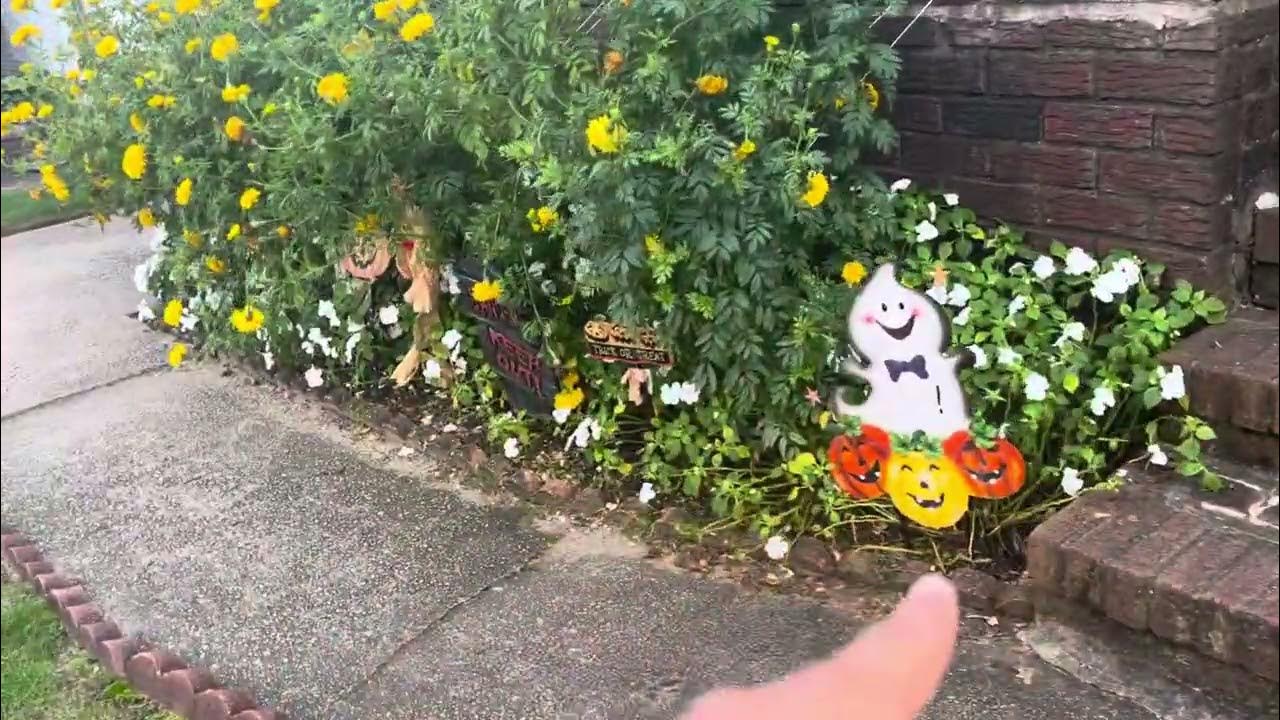 Showing my Halloween decorations for 2023 YouTube