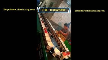 dragon fruit grader/fruit sorter/weight grader/fruit grading machine