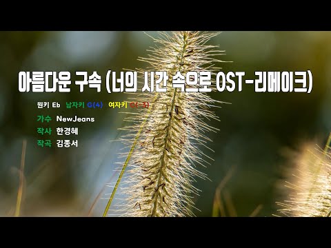 [은성 반주기] 아름다운구속(너의시간속으로OST-리메이크) - NewJeans