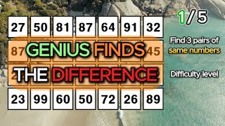 HOW OLD IS YOUR BRAIN? Find 3 pairs of identical numbers/Dementia Prevention Quizzes/Tests.277