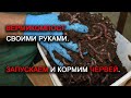 Удобрение ценней навоза! Вермикомпост своими руками. Запускаем и кормим червей. Часть 2.