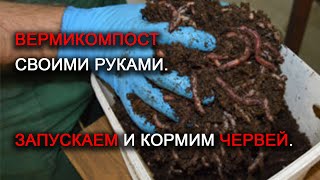 Удобрение ценней навоза! Вермикомпост своими руками. Запускаем и кормим червей. Часть 2.