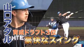 2/5ファイターズ紅白戦！育成ドラフト3位山口アタルがヒット＜2/5ファイターズ春季キャンプ2023＞