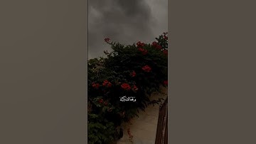 #سورة#الشرح #تلاوة_خاشعة | عصام حمود