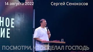 14.08.2022. Сергей Сенокосов. 