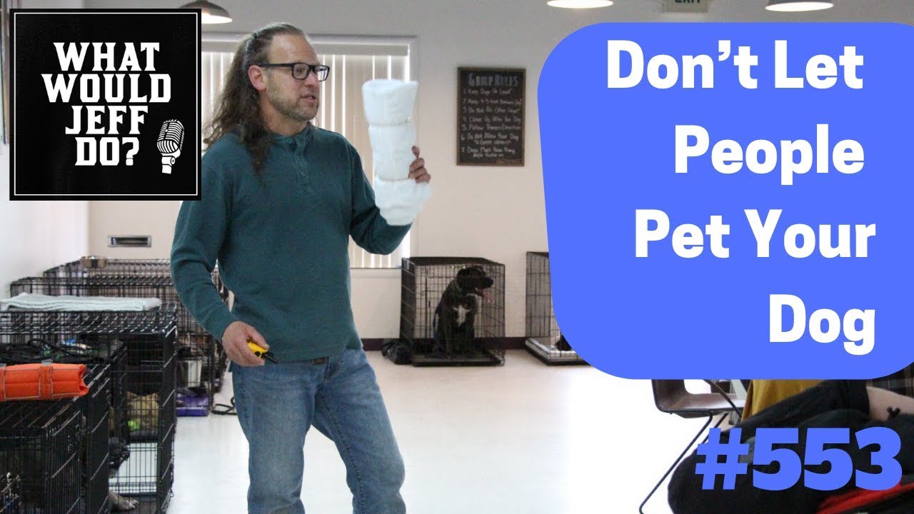 dog trainer in delhi Don’t let People Pet Your Dog - WWJD (2019)