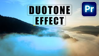 DUOTONE Effect In Premiere Pro