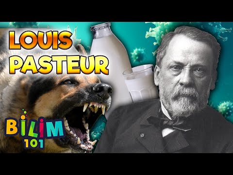 Mikrobiyolojinin Babası Louis Pasteur Kimdir?