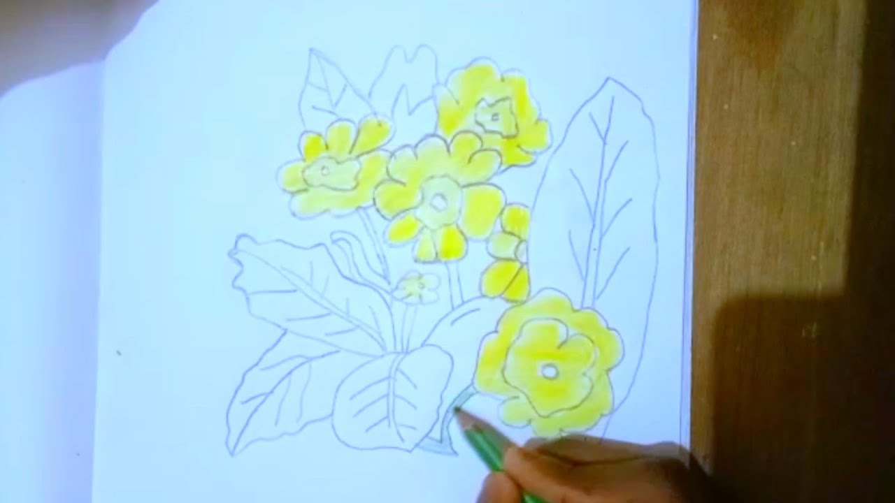 Flower Drawing Banane Ka Tarika YouTube