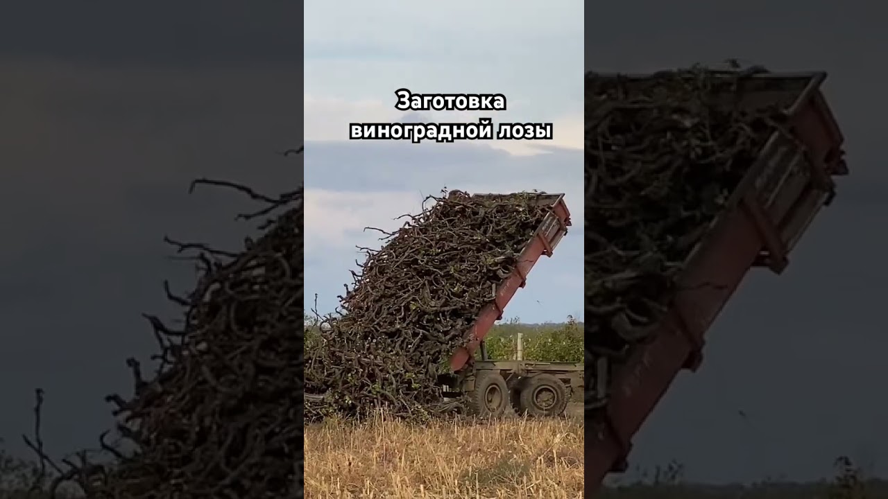 Заготовка дров на зиму 