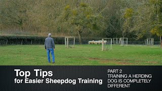 Top Tips for Sheepdog Training (Part 2) Training a Herding Dog is Completely Different