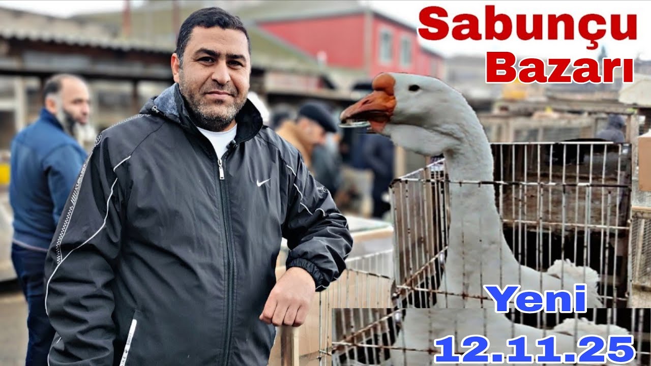 Sabunçu Toyuq Bazarı 12 Oktyabr 2025 @mubarizemintv2271 