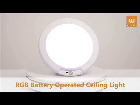 battery powered ceiling light
