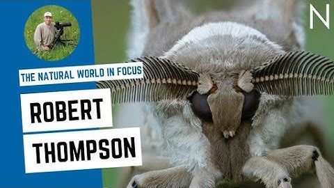 The Natural World in Focus with Robert Thompson