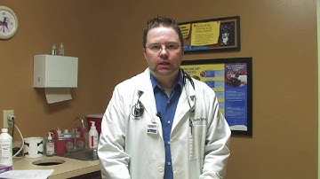 Cat Care: Fleas & Parasites : What Do Worms in Cats Look Like?