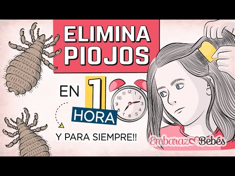 Video: Cómo instalar cerámica (con imágenes)