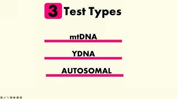 Your Guide to Get Started with DNA