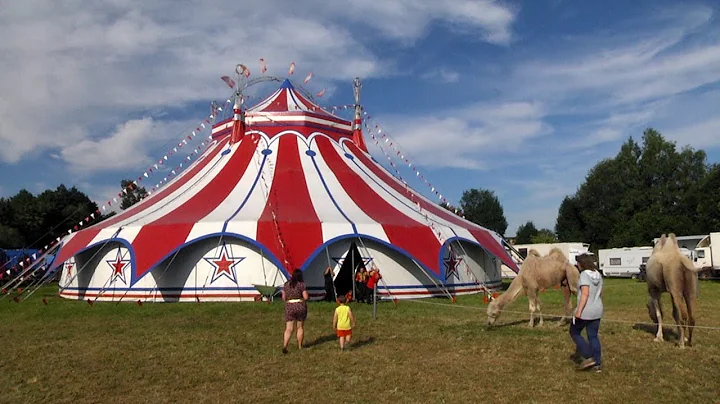 Jung, modern und voller Tradition  Circus Paul Bus...