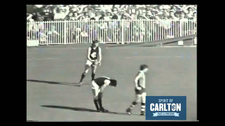 Neil Chandler - Carlton Football Club Past Player