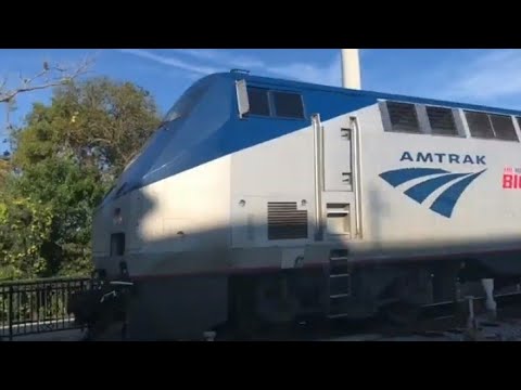Get on the Amtrak Silver Star 91 is Train Horn!! @amtrak - YouTube
