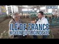 ILE DE FRANCE KOYUN ÇİFTLİĞİNDEYİZ - Benim Memleket