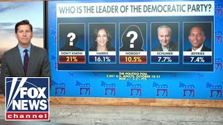 Who do Democrats think is their leader? Net Worth