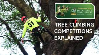 Everything you need to know about Tree Climbing Competitions and the ITCC