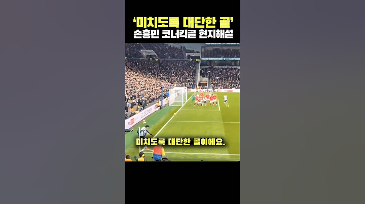 '미치도록 대단한 골' 손흥민 코너킥 골 현지해설 반응