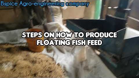 STEPS ON HOW TO PRODUCE FLOATING FISH FEEDS WITH BSPICE COMPLETE EXTRUDER LINE.