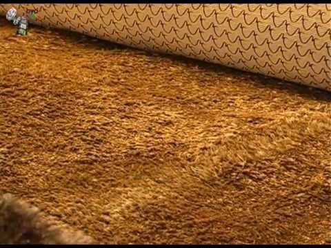 וִידֵאוֹ: שטיחים טבעיים - צמחי כיסוי קרקע