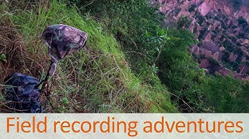 Field Recording Adventures - Season 1 Teaser