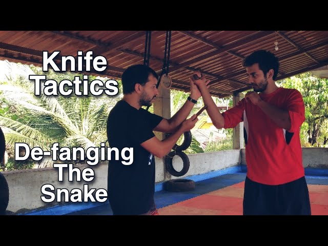 Pekiti Tirsia Kali Knife Tactics - Defanging the Snake class=