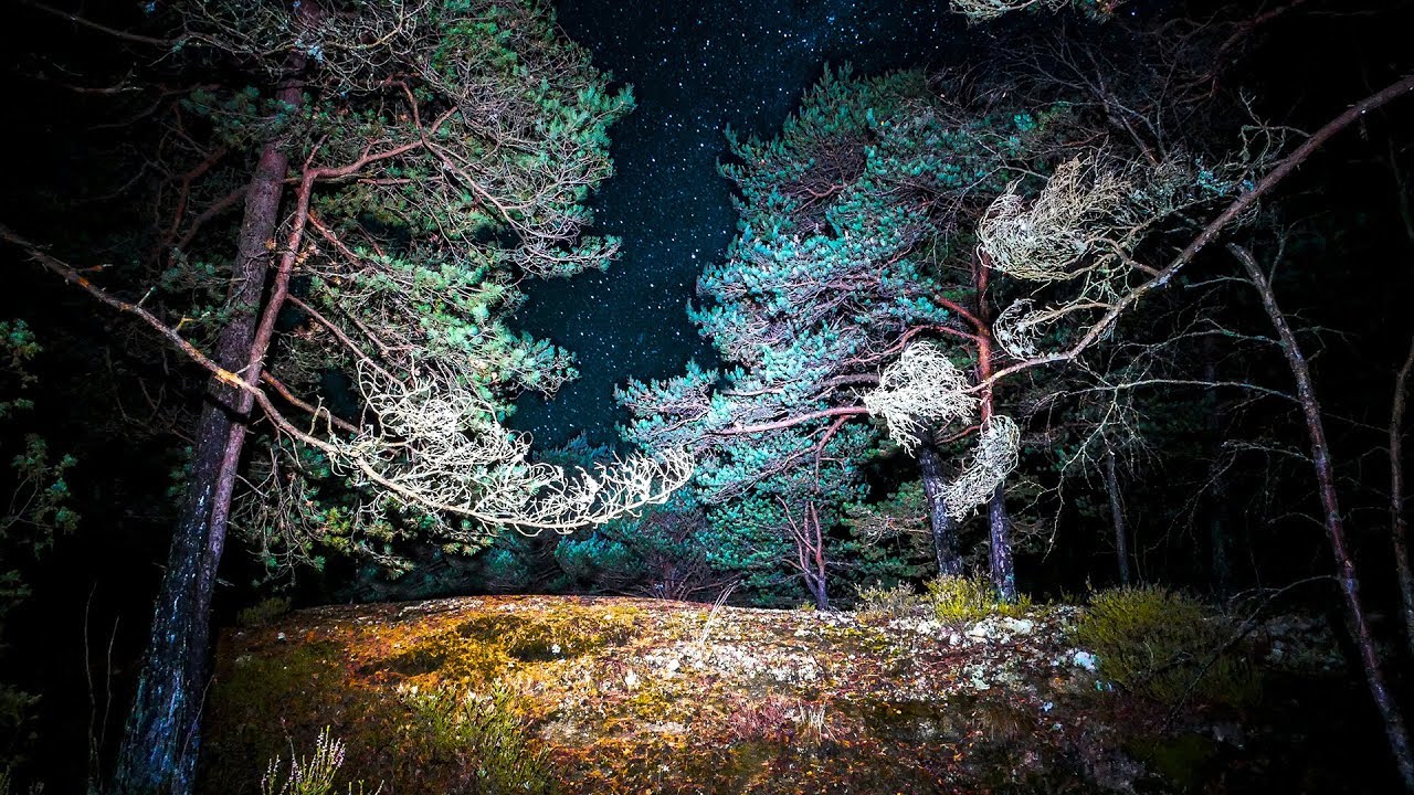 NIGHT ORIENTEERING INTERVALS