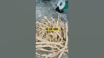 Thu hoạch củ Cát Sâm 5 năm tuổi #catsam #shortvideo