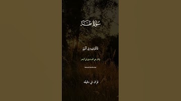 قران كريم ارح قلبك وسمعك #قران_في_دقيقة #quran #شريف_مصطفى #قرآن @قران_في_دقيقه