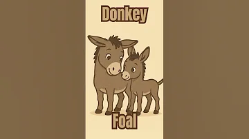 Donkey And Foal Rhyme For Kids Animal Song For Kids Animal Cubs Series Shorts 