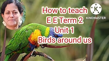 how to teach ennum ezhuthum English handbook term 2 ;unit - 1 birds around us (2/3)எண்ணும் எழுத்தும்