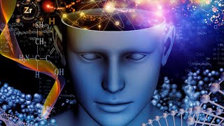 The secrets of human consciousness : the brain in mirror  Full Documentary Neurosciences  HD